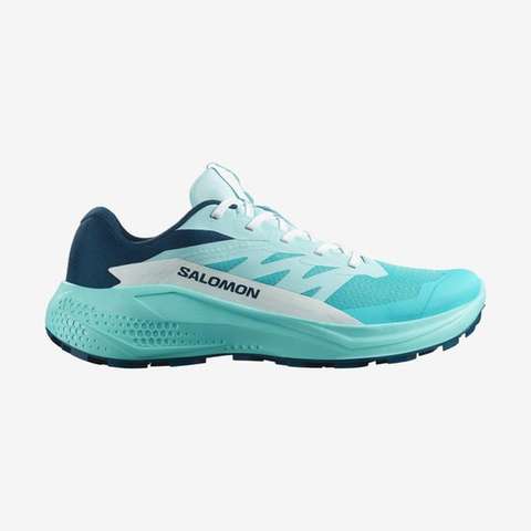 Çok Renkli ALPHAGLIDE W Kadın Koşu Ayakkabısı L47801600