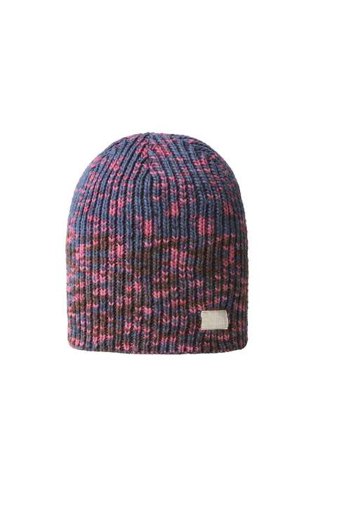 Siyah SHINSKY BEANIE NF0A7RI19231