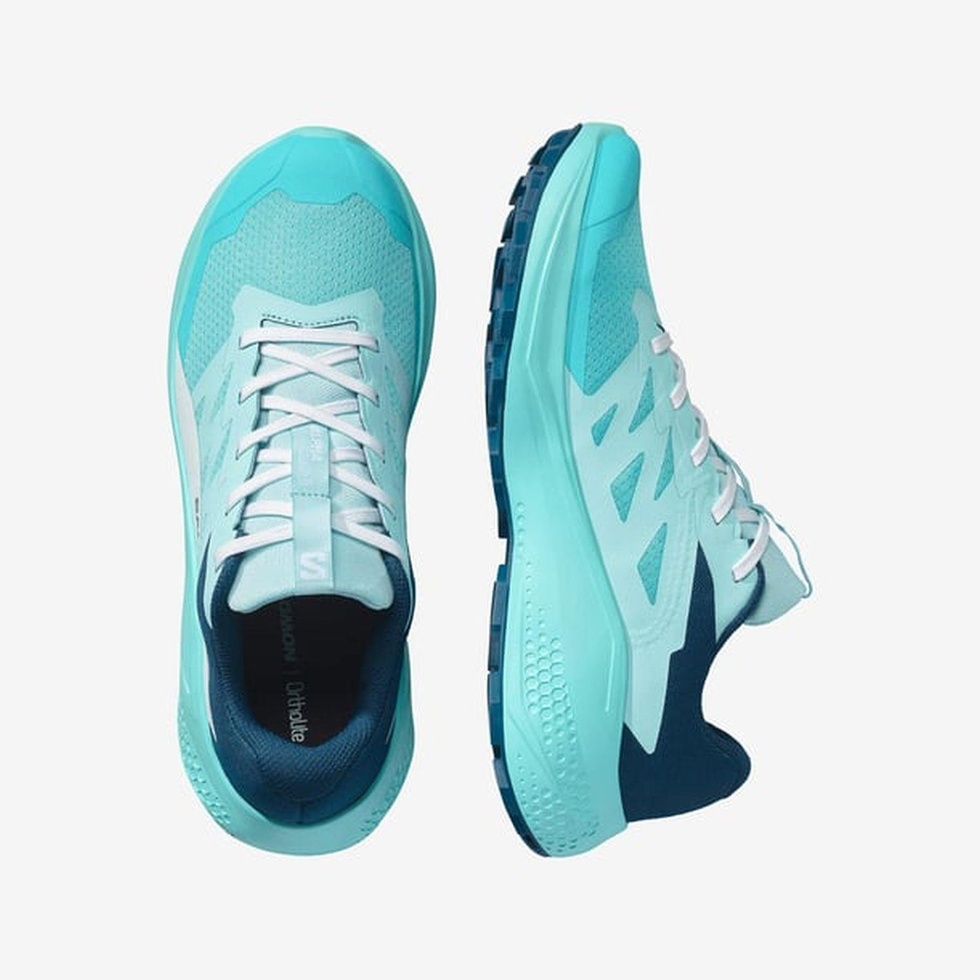 ALPHAGLIDE W Kadın Koşu Ayakkabısı