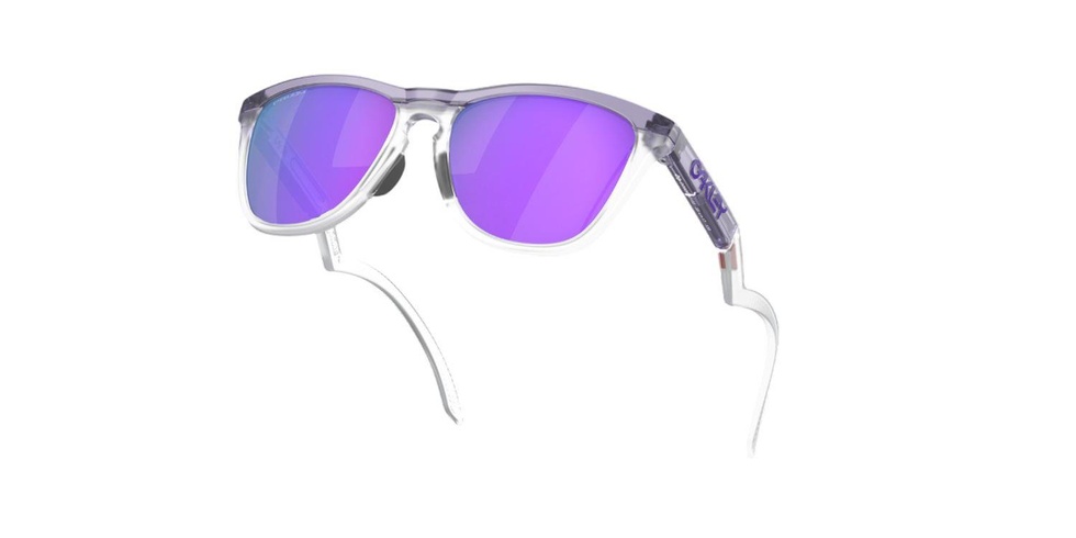 FROGSKINS HYBRID Unisex Gözlük