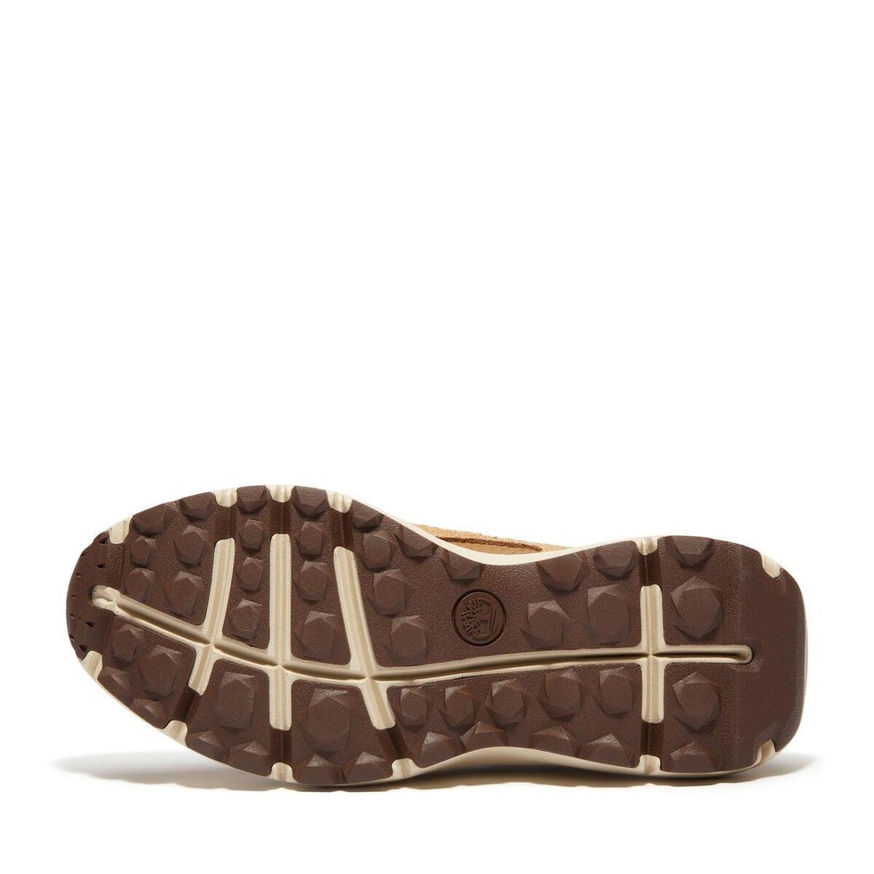 HAZEL LANE LOW LACE UP SNEAKER Kadın Ayakkabısı